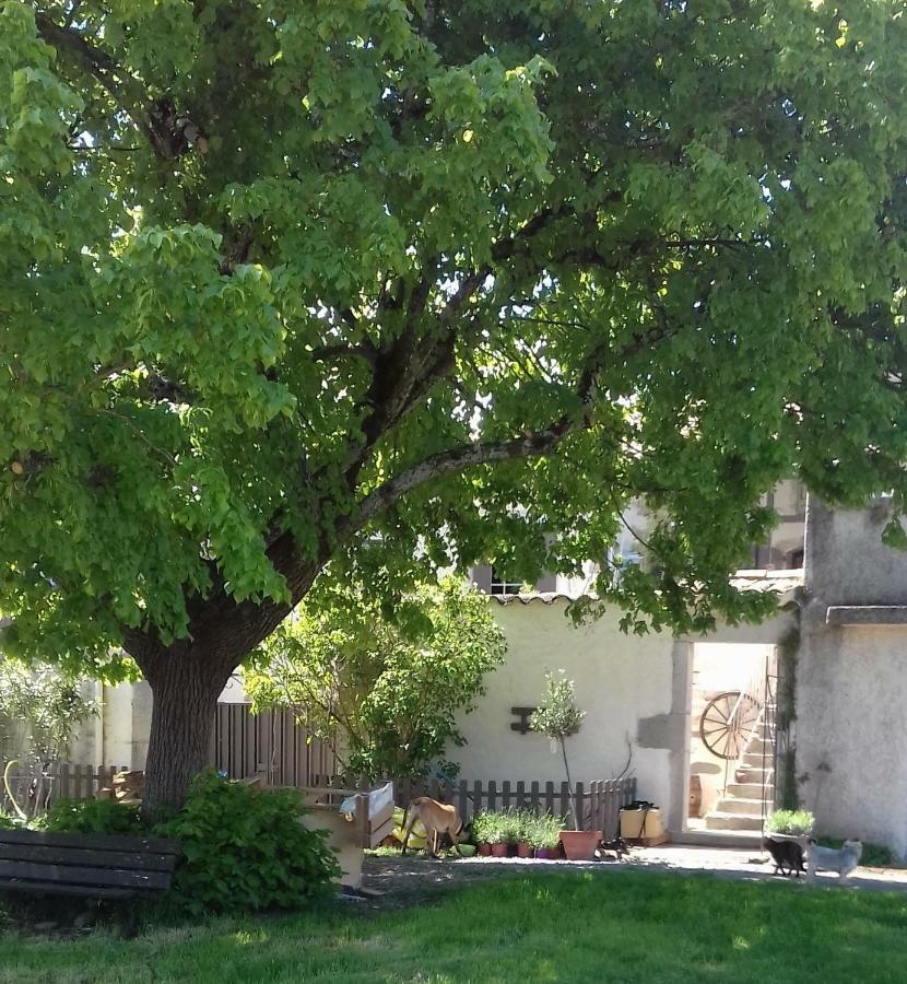 Le Patio Aux Hirondelles Villa Lagorce  Exterior photo